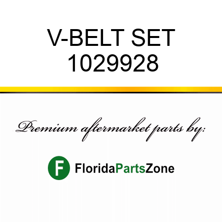 V-BELT SET 1029928