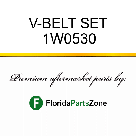 V-BELT SET 1W0530