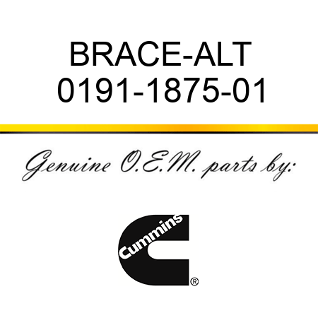 BRACE-ALT 0191-1875-01