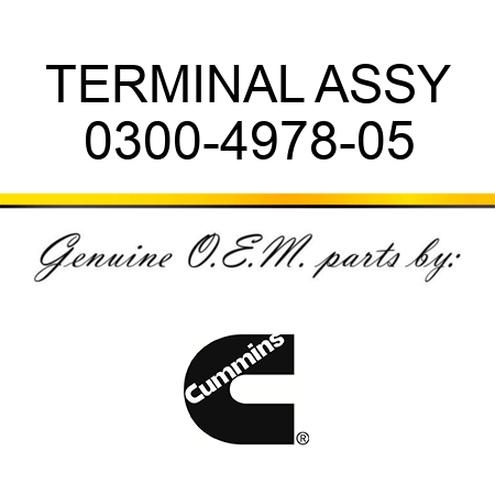 TERMINAL ASSY 0300-4978-05