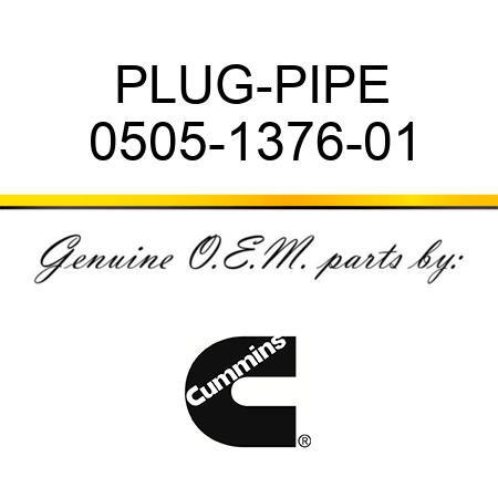 PLUG-PIPE 0505-1376-01