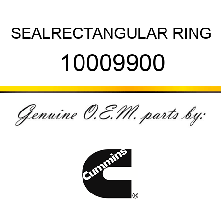 SEAL,RECTANGULAR RING 10009900