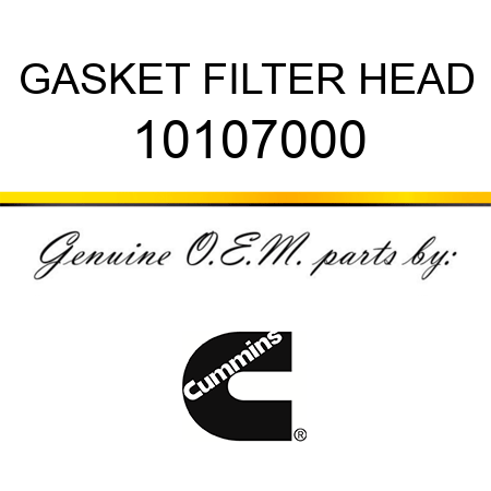 GASKET, FILTER HEAD 10107000