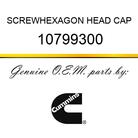 SCREW,HEXAGON HEAD CAP 10799300