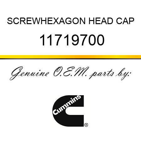 SCREW,HEXAGON HEAD CAP 11719700