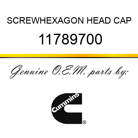 SCREW,HEXAGON HEAD CAP 11789700