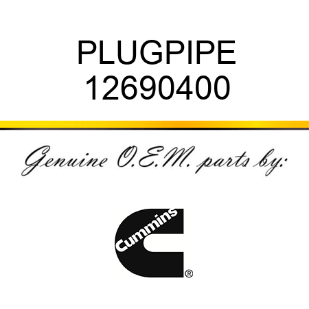 PLUG,PIPE 12690400