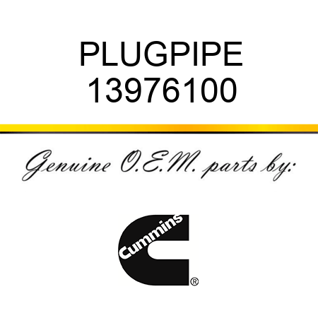 PLUG,PIPE 13976100