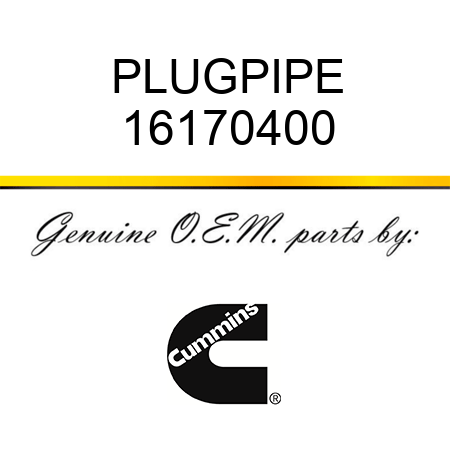 PLUG,PIPE 16170400