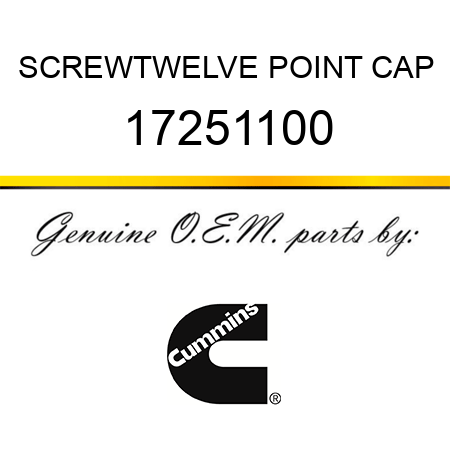 SCREW,TWELVE POINT CAP 17251100