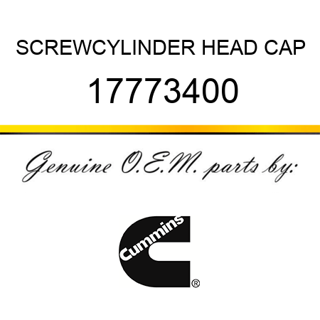 SCREW,CYLINDER HEAD CAP 17773400