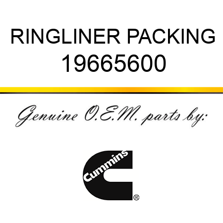 RING,LINER PACKING 19665600