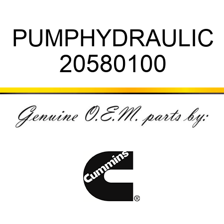 PUMP,HYDRAULIC 20580100