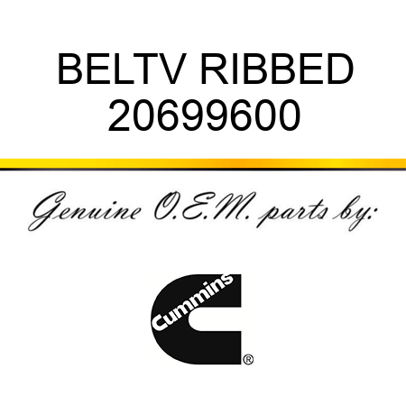 BELT,V RIBBED 20699600