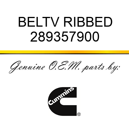 BELT,V RIBBED 289357900