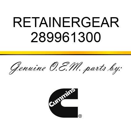 RETAINER,GEAR 289961300