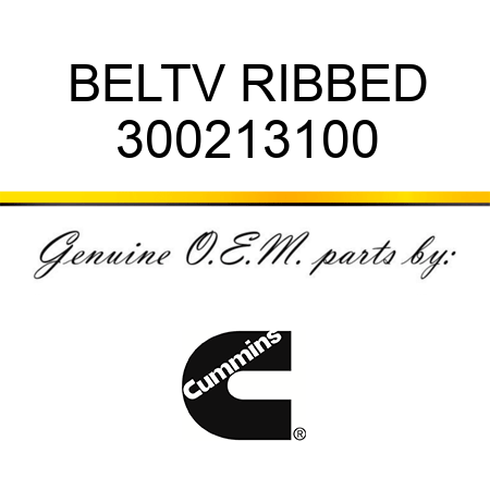 BELT,V RIBBED 300213100