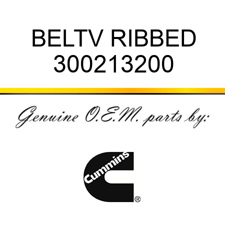 BELT,V RIBBED 300213200