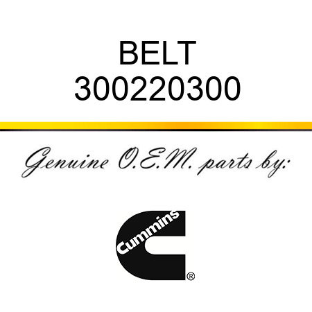 BELT 300220300