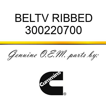 BELT,V RIBBED 300220700