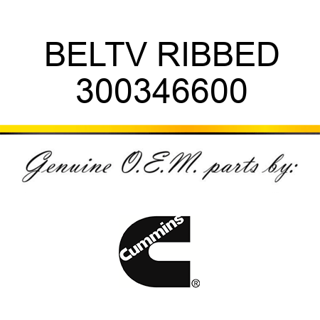 BELT,V RIBBED 300346600