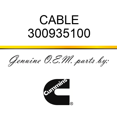 CABLE 300935100