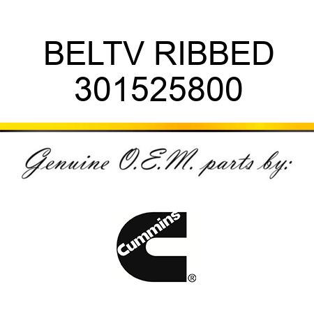 BELT,V RIBBED 301525800