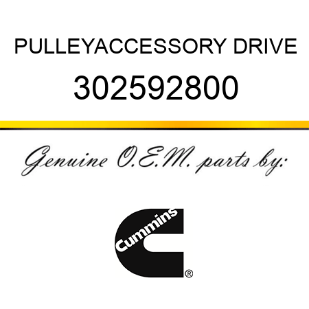 PULLEY,ACCESSORY DRIVE 302592800