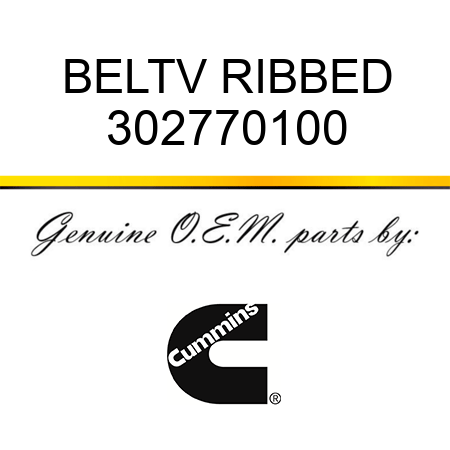 BELT,V RIBBED 302770100