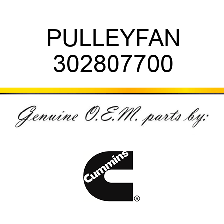 PULLEY,FAN 302807700