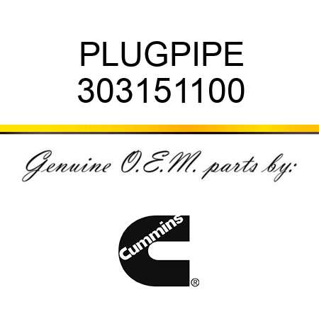 PLUG,PIPE 303151100