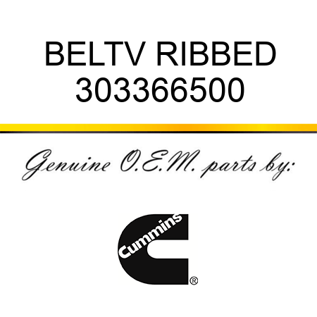 BELT,V RIBBED 303366500