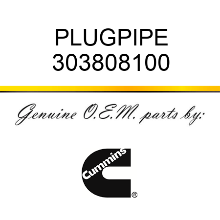 PLUG,PIPE 303808100