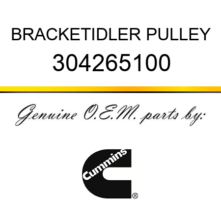BRACKET,IDLER PULLEY 304265100