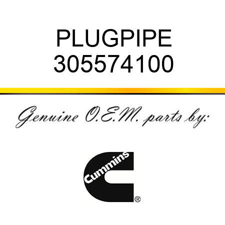 PLUG,PIPE 305574100