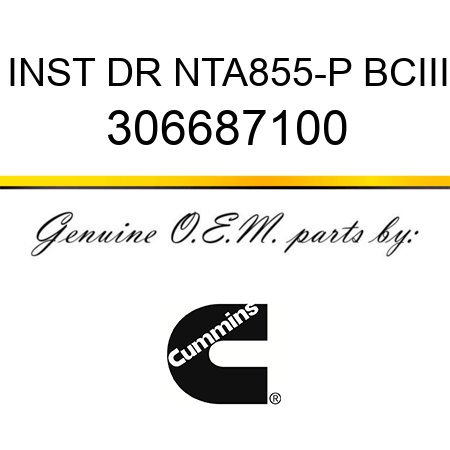 INST DR NTA855-P BCIII 306687100