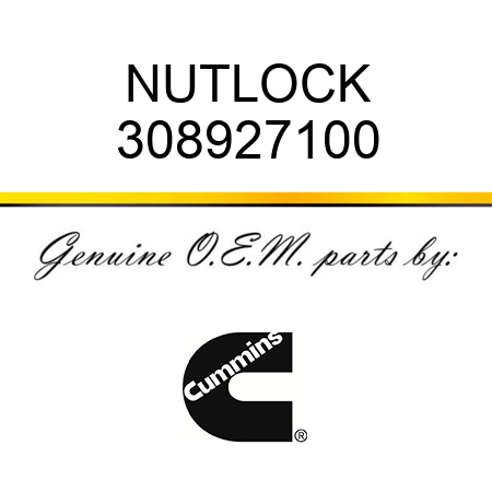 NUT,LOCK 308927100