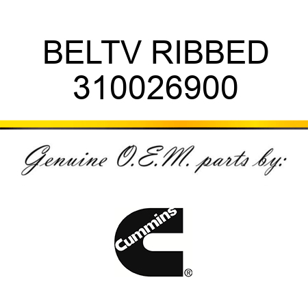 BELT,V RIBBED 310026900