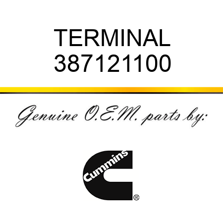 TERMINAL 387121100