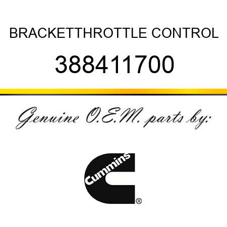 BRACKET,THROTTLE CONTROL 388411700