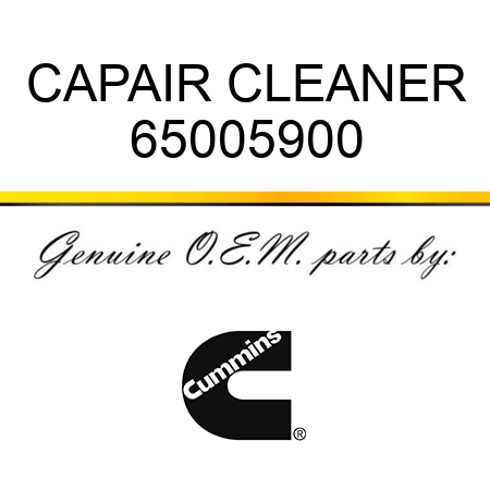 CAP,AIR CLEANER 65005900