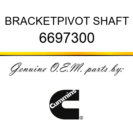 BRACKET,PIVOT SHAFT 6697300