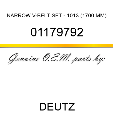NARROW V-BELT SET - 1013 (1700 MM) 01179792