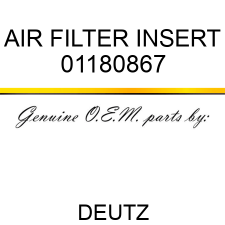 AIR FILTER INSERT 01180867