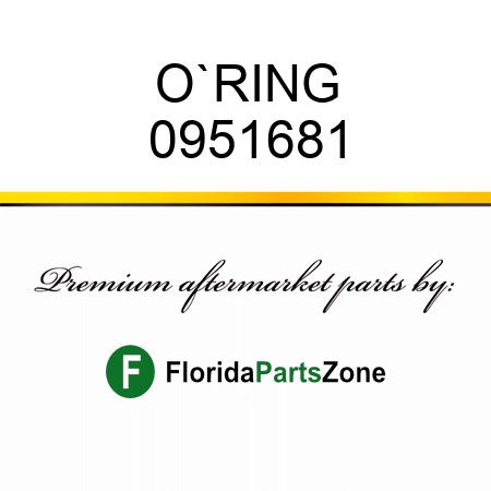 O`RING 0951681