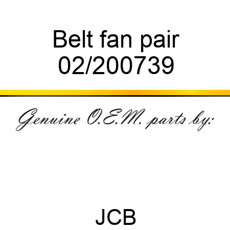 Belt, fan, pair 02/200739