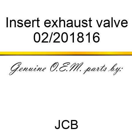 Insert, exhaust valve 02/201816