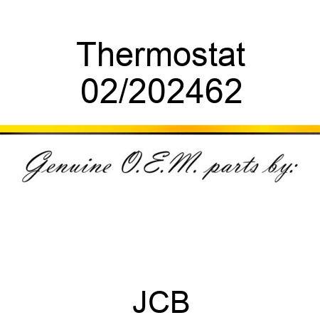 Thermostat 02/202462