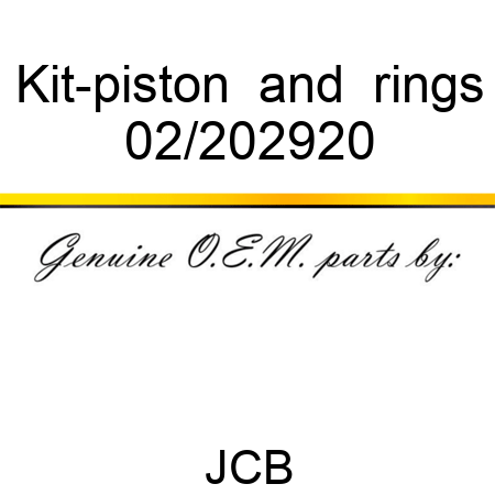 Kit-piston & rings 02/202920