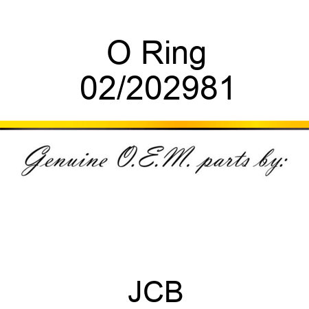O Ring 02/202981